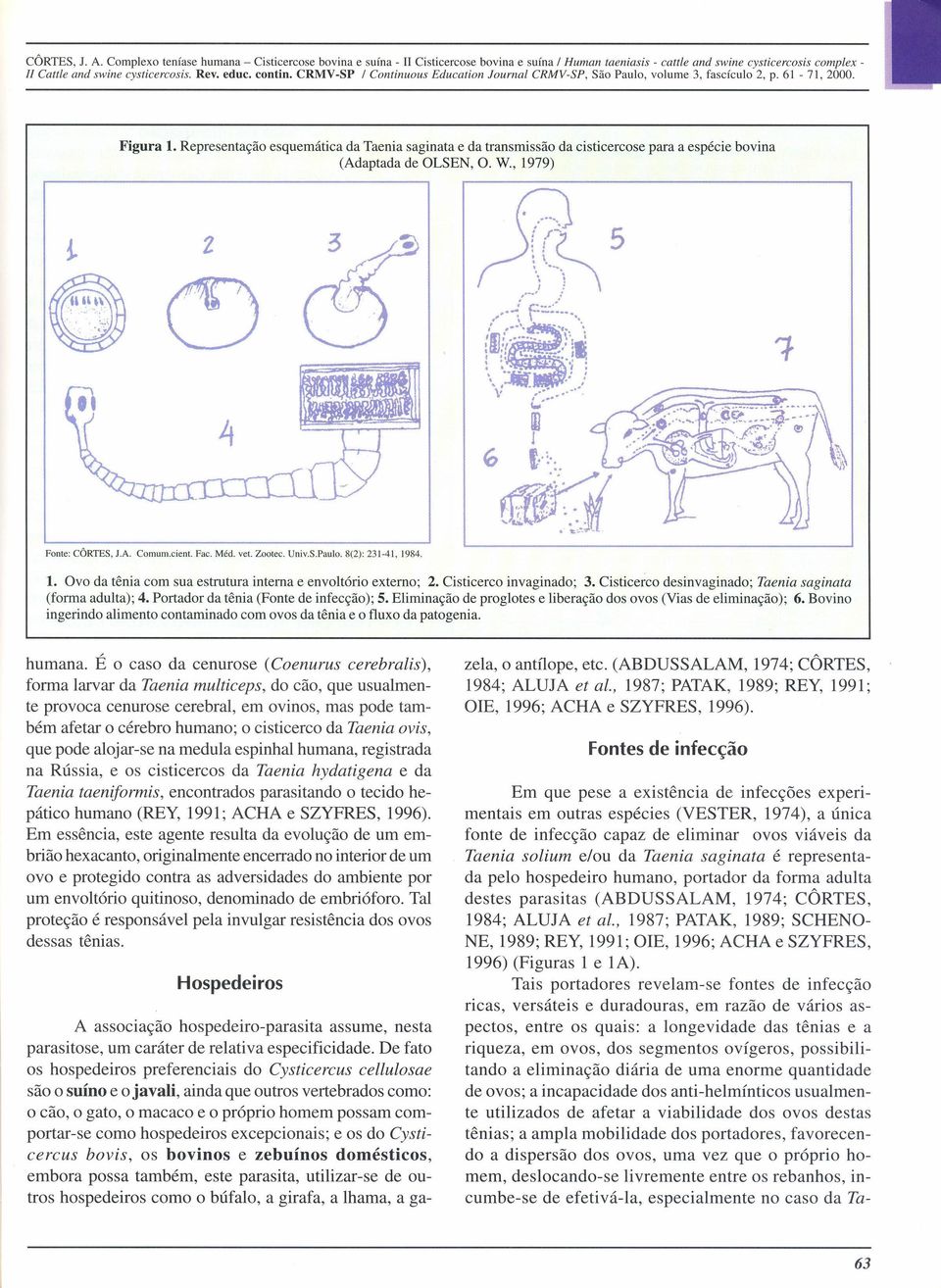 volume 3, fascículo 2, p. 61-71, 2000. li Cattle and swine cysticercosis. Rev. educo contin. CRMV-SP Figura 1.