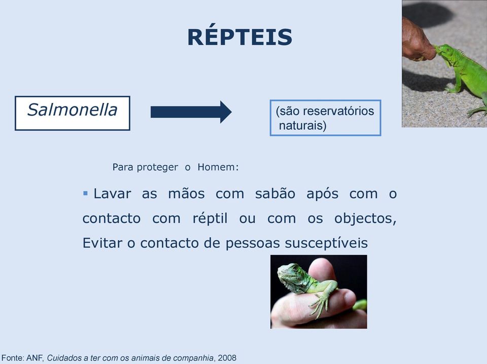 réptil ou com os objectos, Evitar o contacto de pessoas