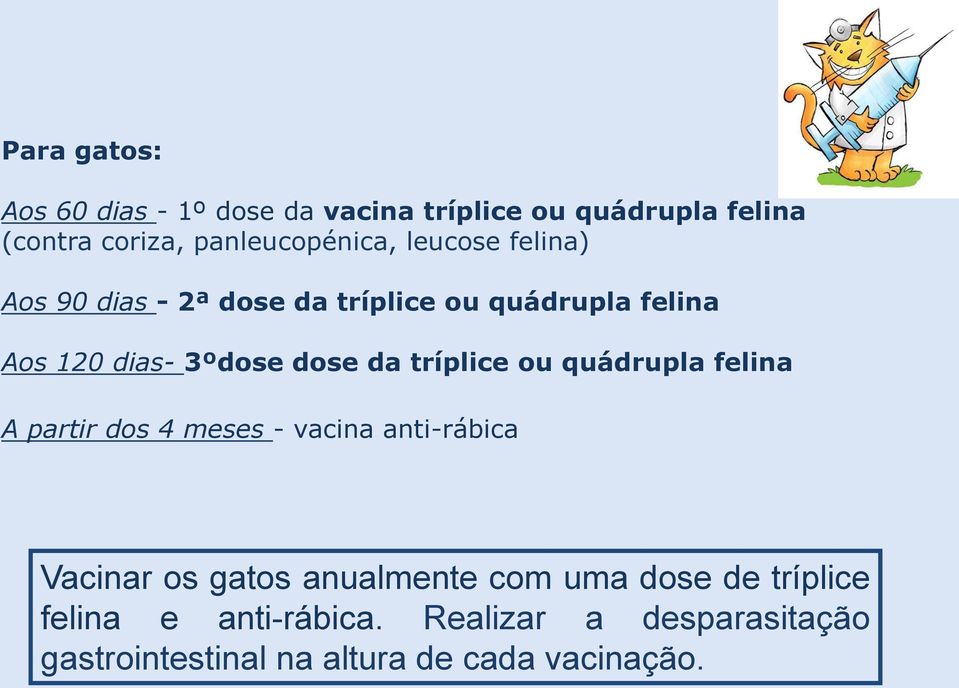 tríplice ou quádrupla felina A partir dos 4 meses - vacina anti-rábica Vacinar os gatos anualmente com