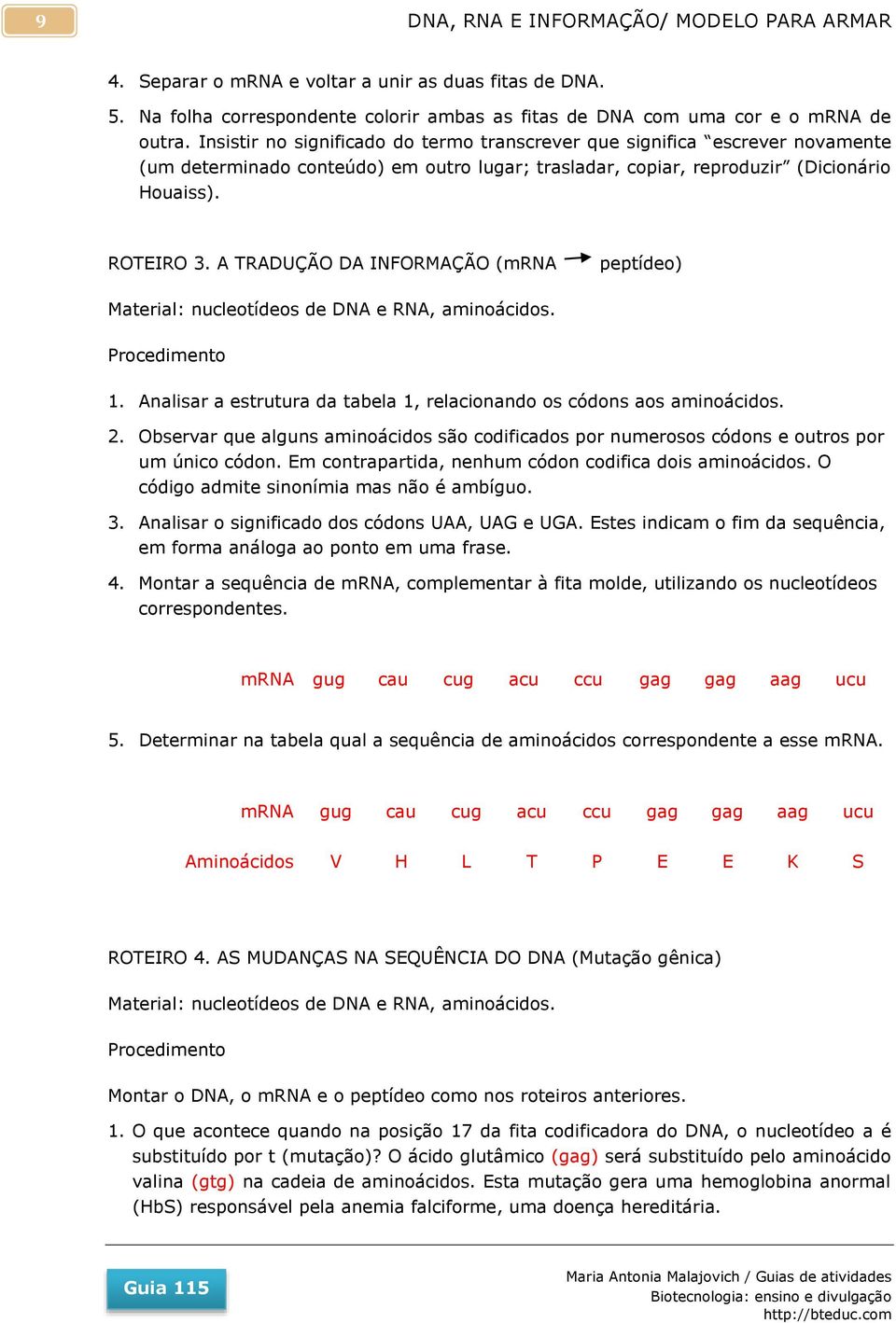 A TRADUÇÃO DA INFORMAÇÃO (mrna peptídeo) Material: nucleotídeos de DNA e RNA, aminoácidos. Procedimento 1. Analisar a estrutura da tabela 1, relacionando os códons aos aminoácidos. 2.