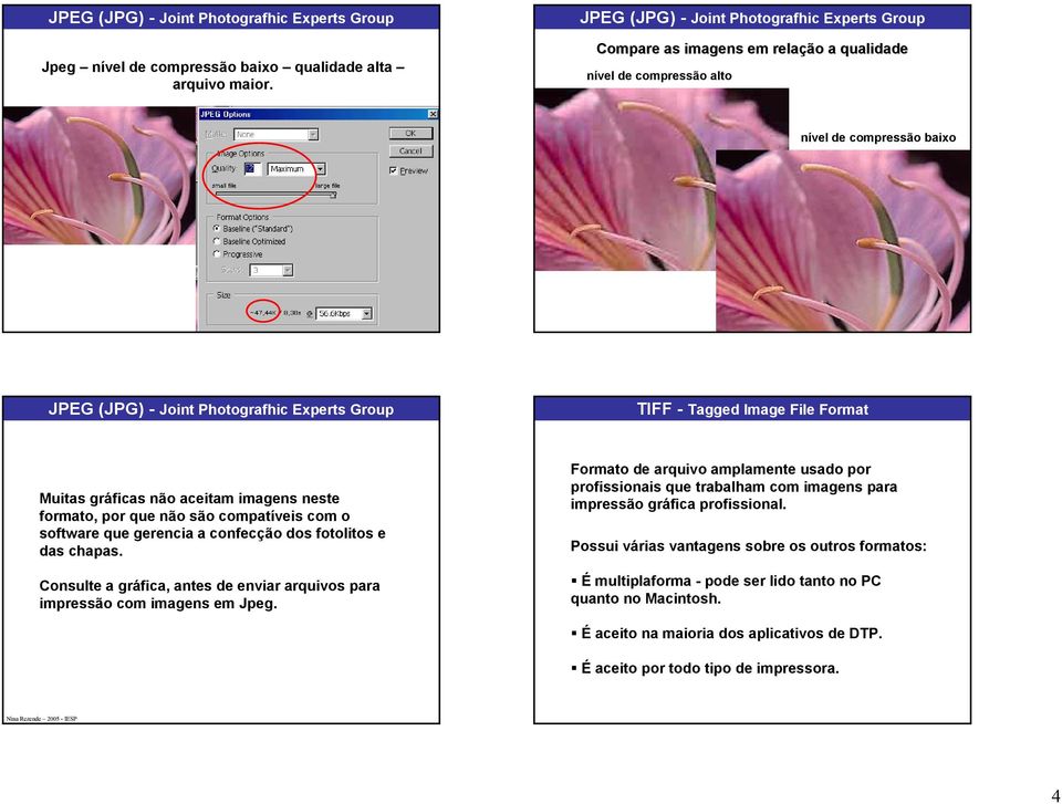 que não são compatíveis com o software que gerencia a confecção dos fotolitos e das chapas. Consulte a gráfica, antes de enviar arquivos para impressão com imagens em Jpeg.