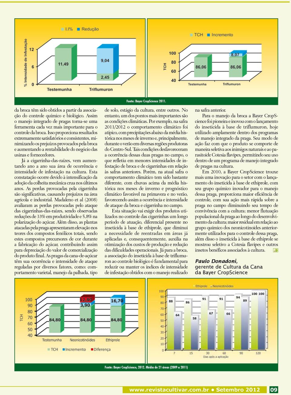 Já a cigarrinha-das-raízes, vem aumentando ano a ano sua área de ocorrência e intensidade de infestação na cultura.