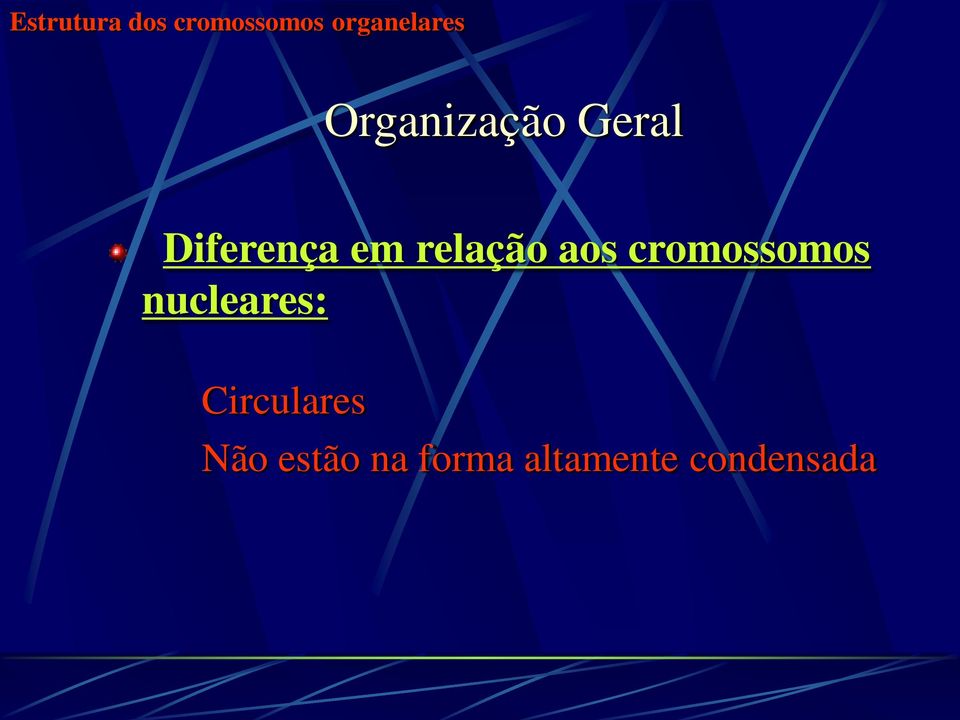 aos cromossomos nucleares: Circulares