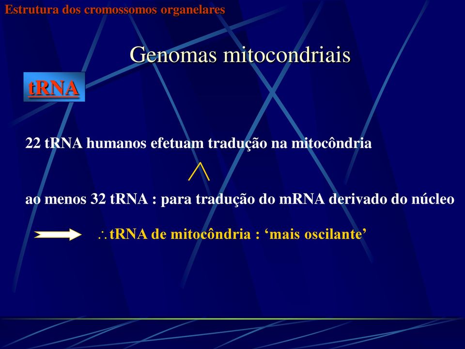 mitocôndria ao menos 32 trna : para tradução do mrna