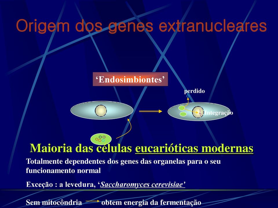 genes das organelas para o seu funcionamento normal Exceção : a