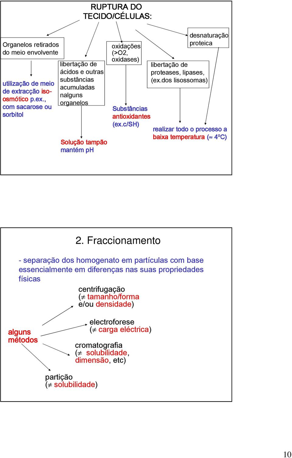 c ex.c/sh) desnaturação proteica libertação de proteases, lipases, (ex.dos lisossomas) realizar todo o processo a baixa temperatura ( 4ºC) 2.