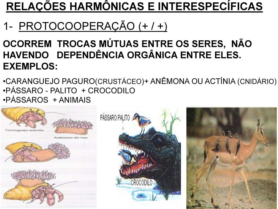 ORGÂNICA ENTRE ELES.