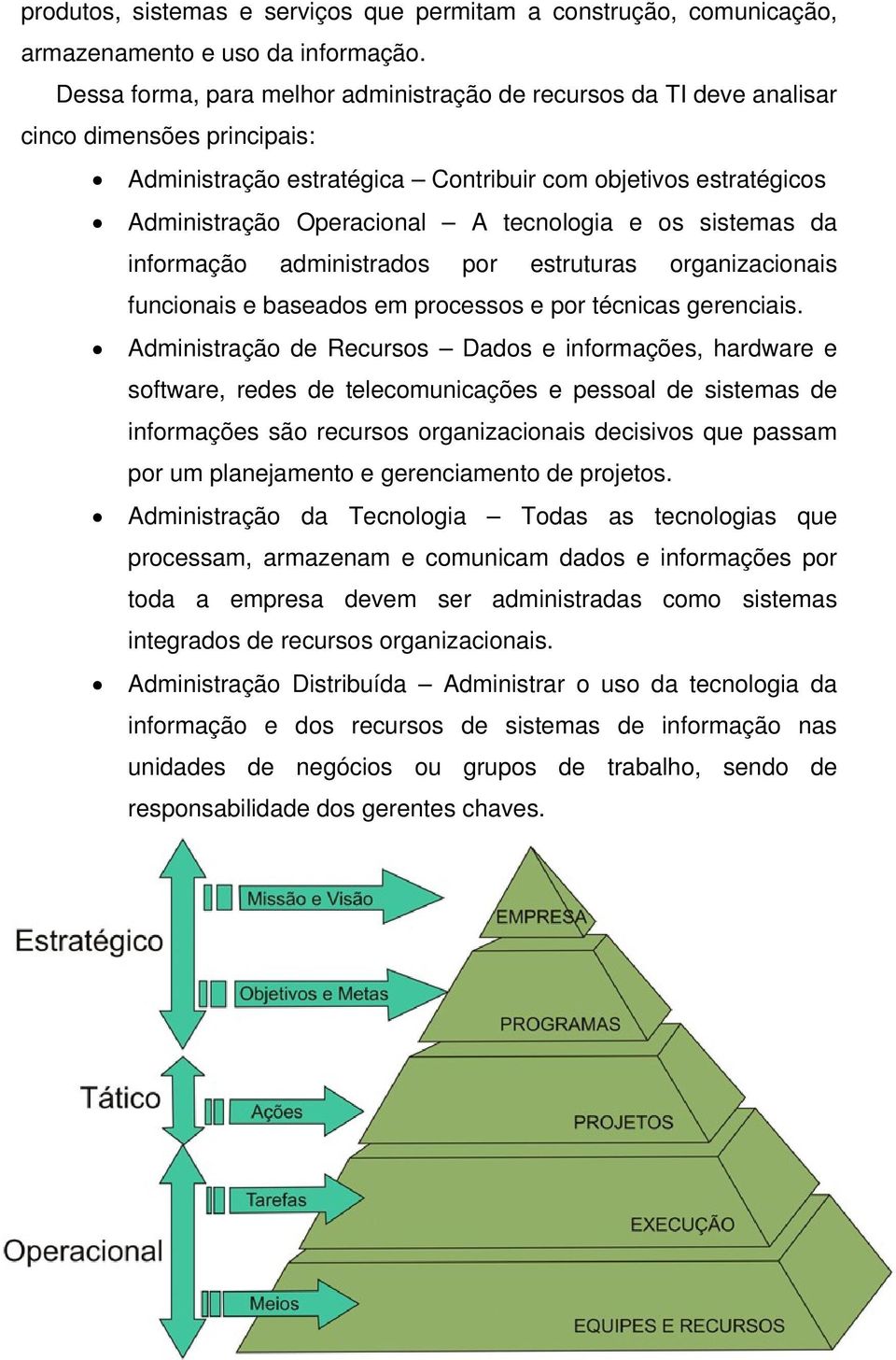 tecnologia e os sistemas da informação administrados por estruturas organizacionais funcionais e baseados em processos e por técnicas gerenciais.