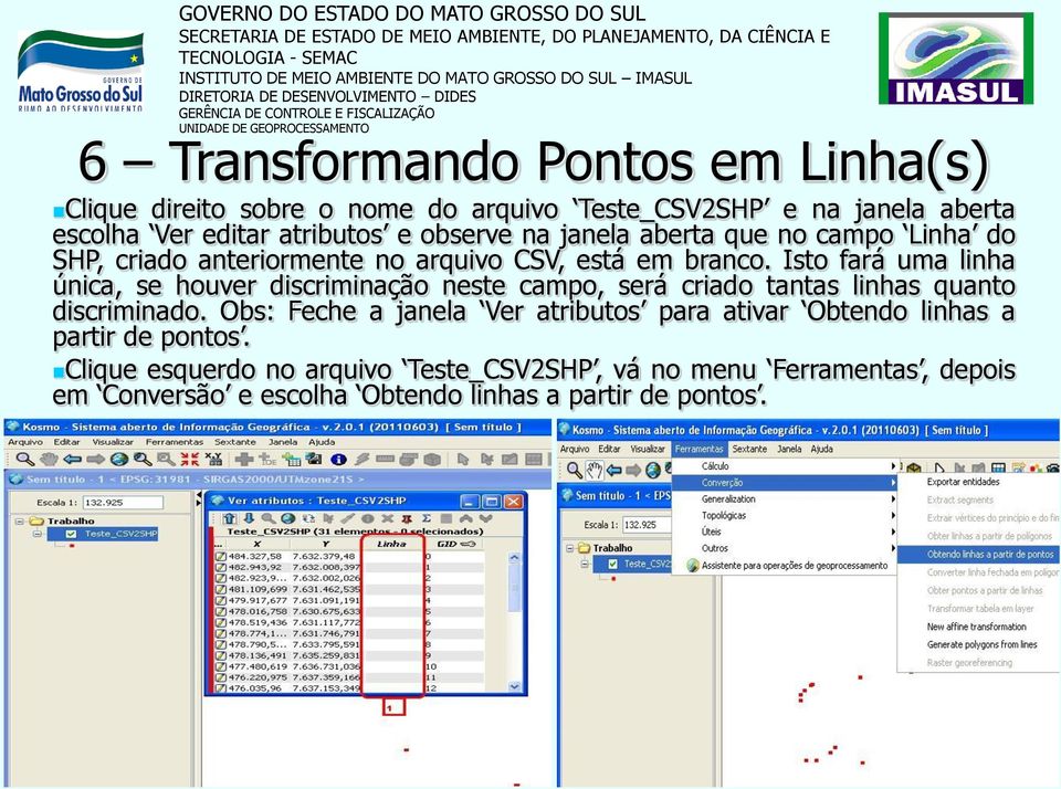 Isto fará uma linha única, se houver discriminação neste campo, será criado tantas linhas quanto discriminado.