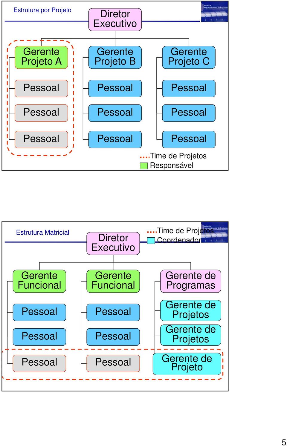 Executivo Time de s Coordenador Gerente Gerente Gerente de