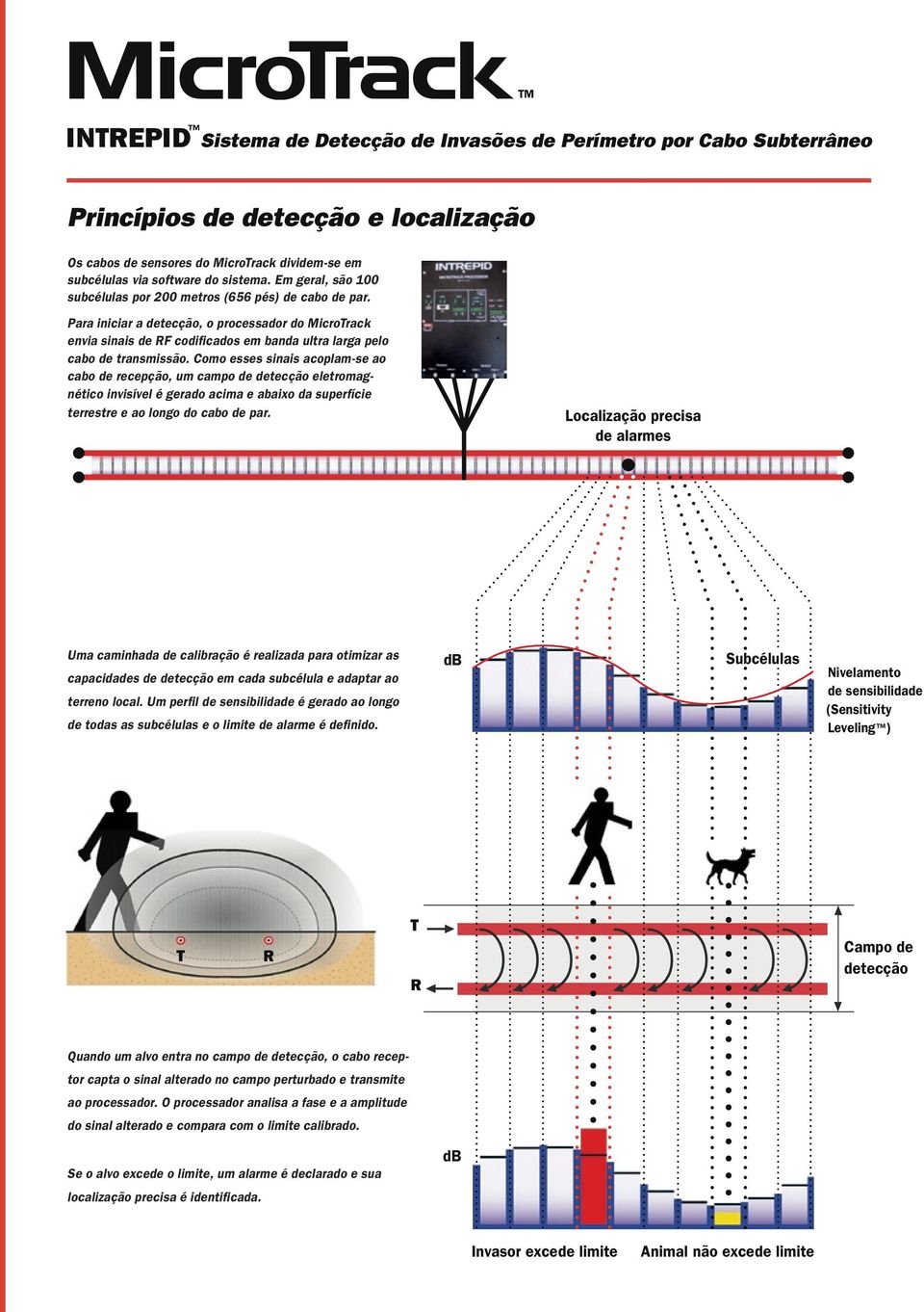 Como esses sinais acoplam-se ao cabo de recepção, um campo de detecção eletromagnético invisível é gerado acima e abaixo da superfície terrestre e ao longo do cabo de par.