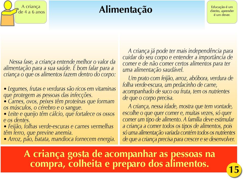 Carnes, ovos, peixes têm proteínas que formam os músculos, o cérebro e o sangue. Leite e queijo têm cálcio, que fortalece os ossos e os dentes.