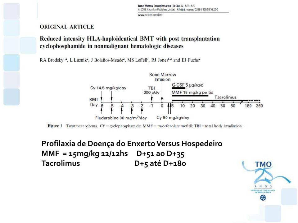 MMF = 15mg/kg 12/12hs D+51