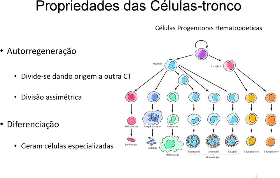 Divide-se dando origem a outra CT Divisão