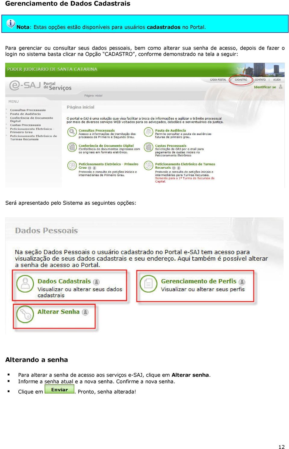 na Opção CADASTRO, conforme demonstrado na tela a seguir: Será apresentado pelo Sistema as seguintes opções: Alterando a senha Para