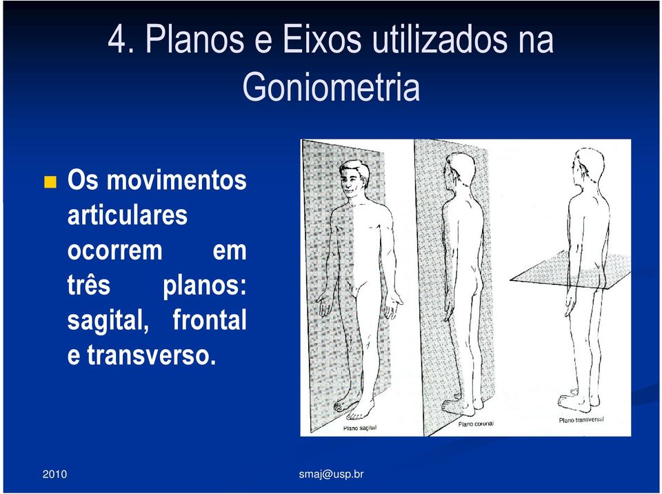 articulares ocorrem em três