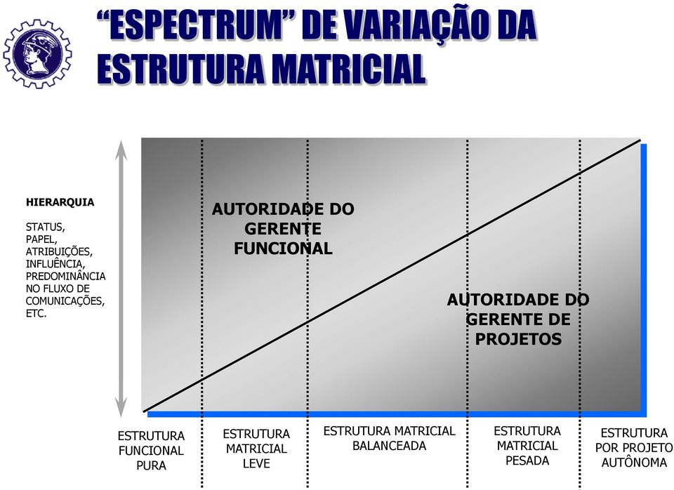 AUTORIDADE DO GERENTE FUNCIONAL AUTORIDADE DO GERENTE DE PROJETOS ESTRUTURA FUNCIONAL