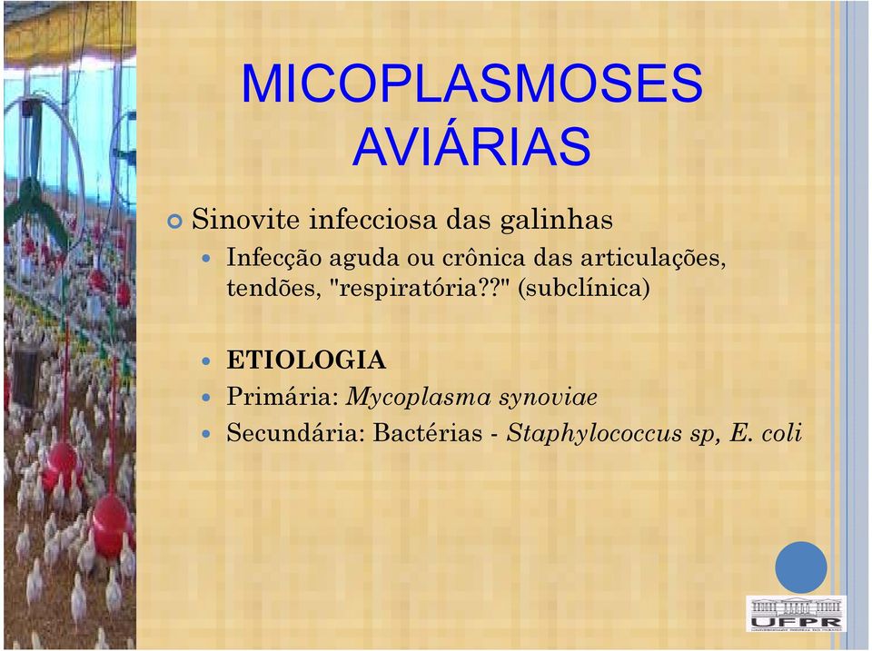 ?" (subclínica) ETIOLOGIA Primária: Mycoplasma