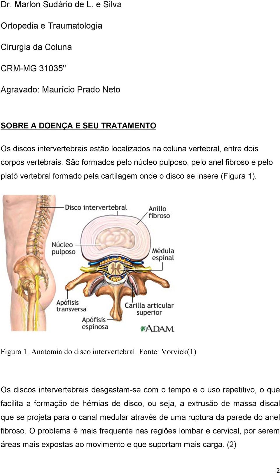 dois corpos vertebrais. São formados pelo núcleo pulposo, pelo anel fibroso e pelo platô vertebral formado pela cartilagem onde o disco se insere (Figura 1). Figura 1.