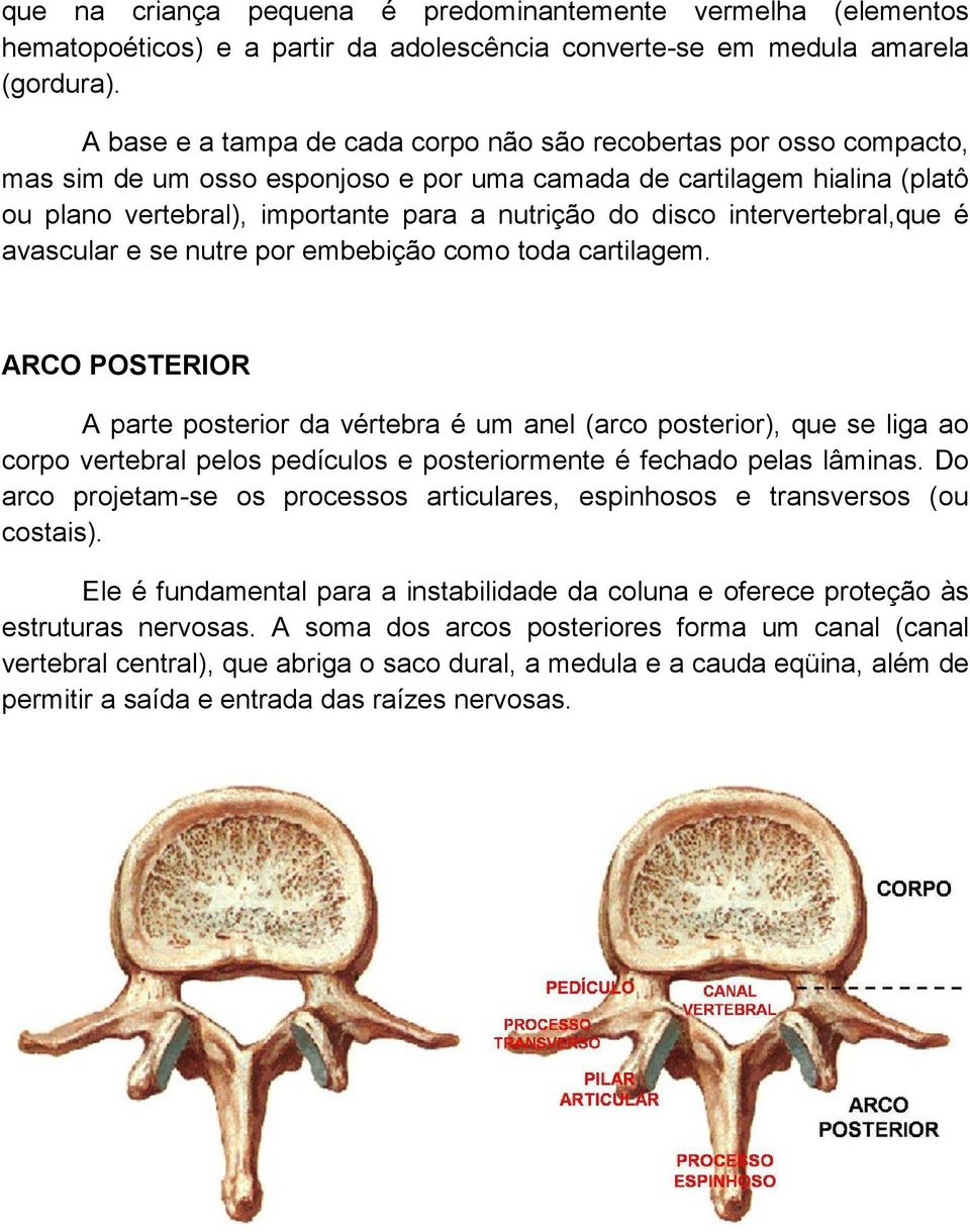 disco intervertebral,que é avascular e se nutre por embebição como toda cartilagem.