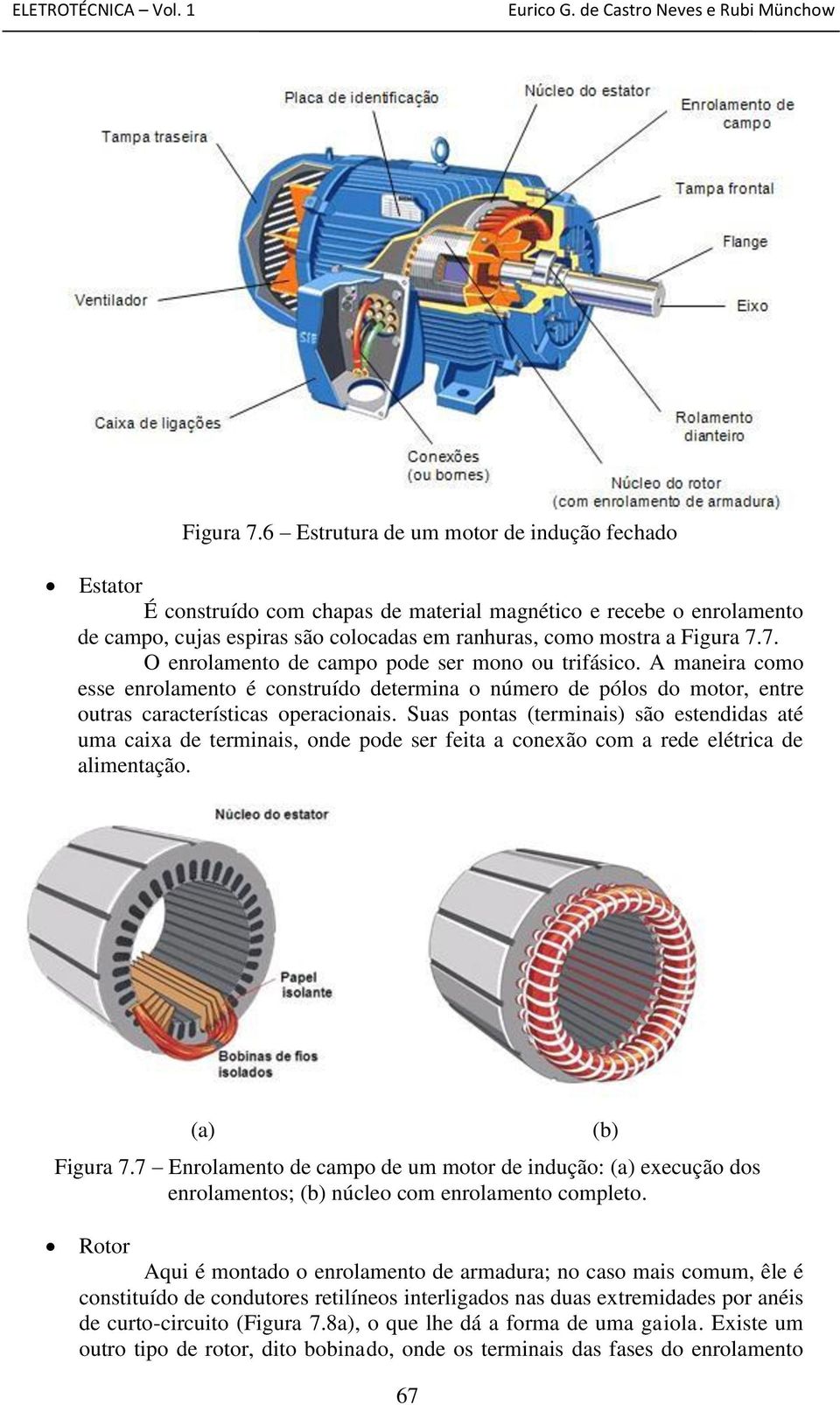 O enrolamento de campo pode ser mono ou trifásico. A maneira como esse enrolamento é construído determina o número de pólos do motor, entre outras características operacionais.