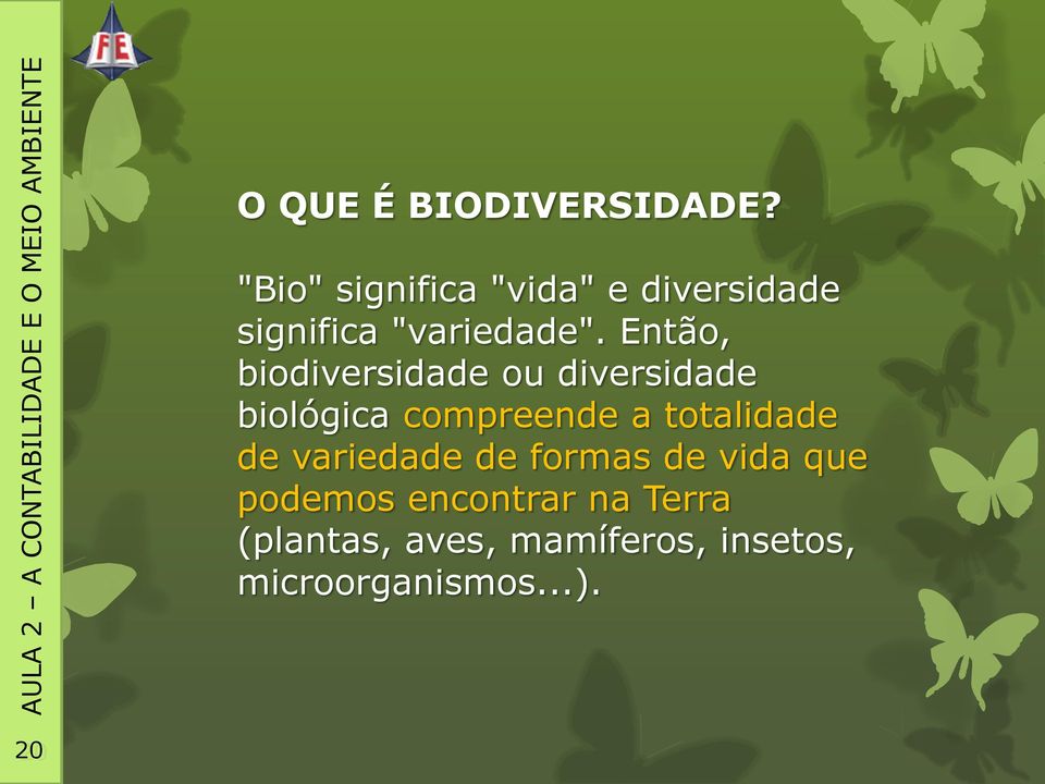 Então, biodiversidade ou diversidade biológica compreende a