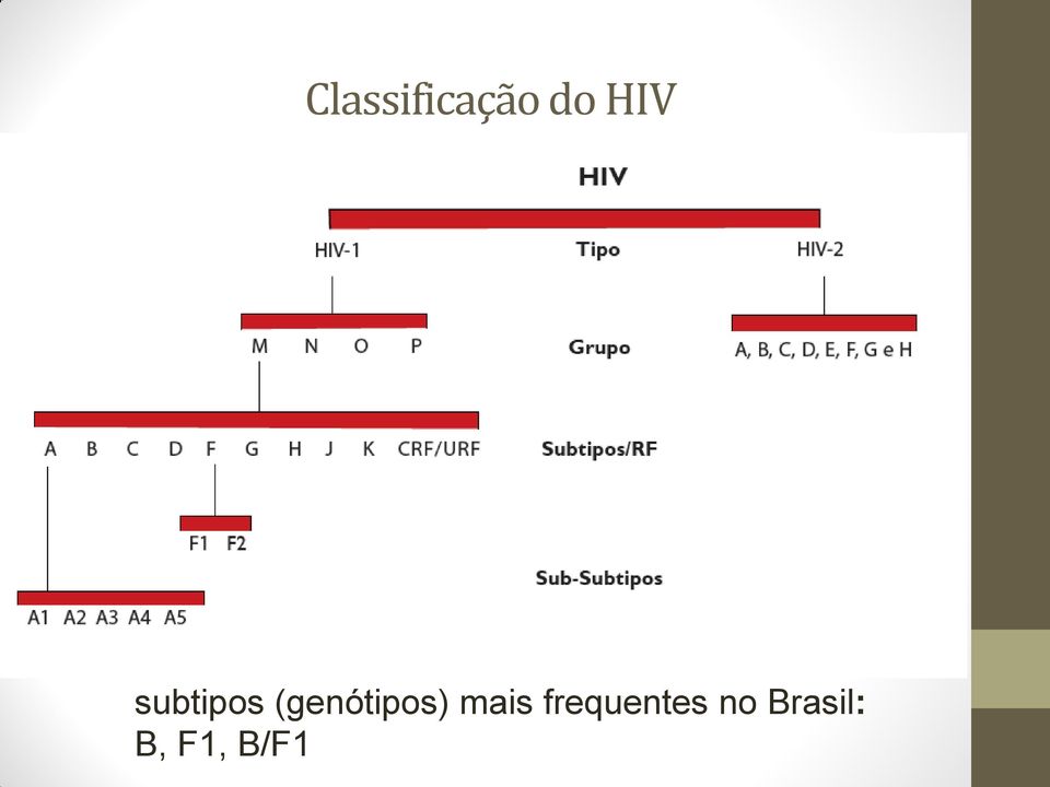 Brasil: B 81%, F 7%, C 4% subtipos 