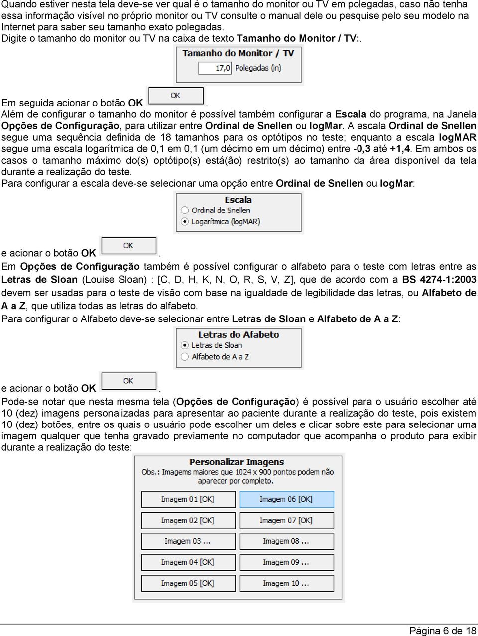 Além de configurar o tamanho do monitor é possível também configurar a Escala do programa, na Janela Opções de Configuração, para utilizar entre Ordinal de Snellen ou logmar.