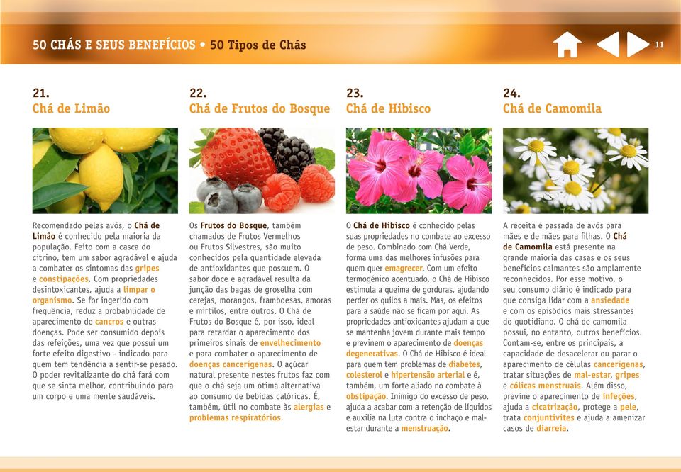 50 Chás e Seus Benefícios. e-book interativo - PDF Download grátis