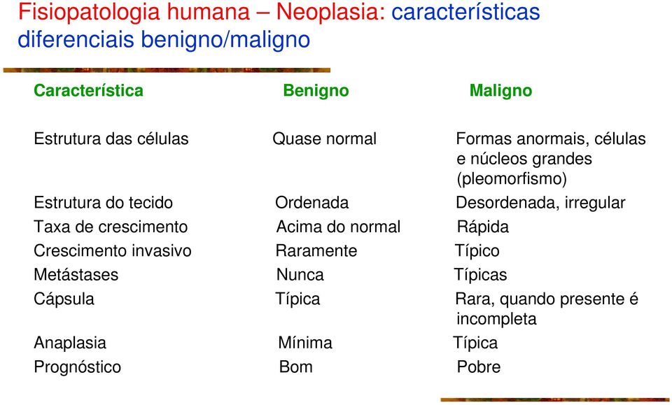 Ordenada Taxa de crescimento Acima do normal Rápida Crescimento invasivo Raramente Metástases Nunca Desordenada,