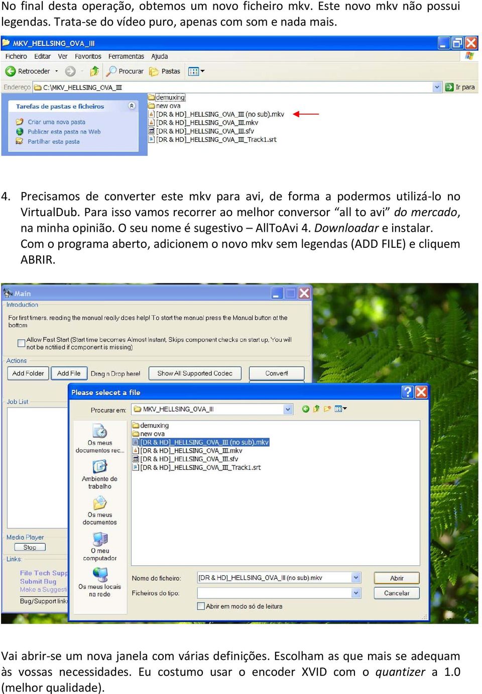 Para isso vamos recorrer ao melhor conversor all to avi do mercado, na minha opinião. O seu nome é sugestivo AllToAvi 4. Downloadar e instalar.