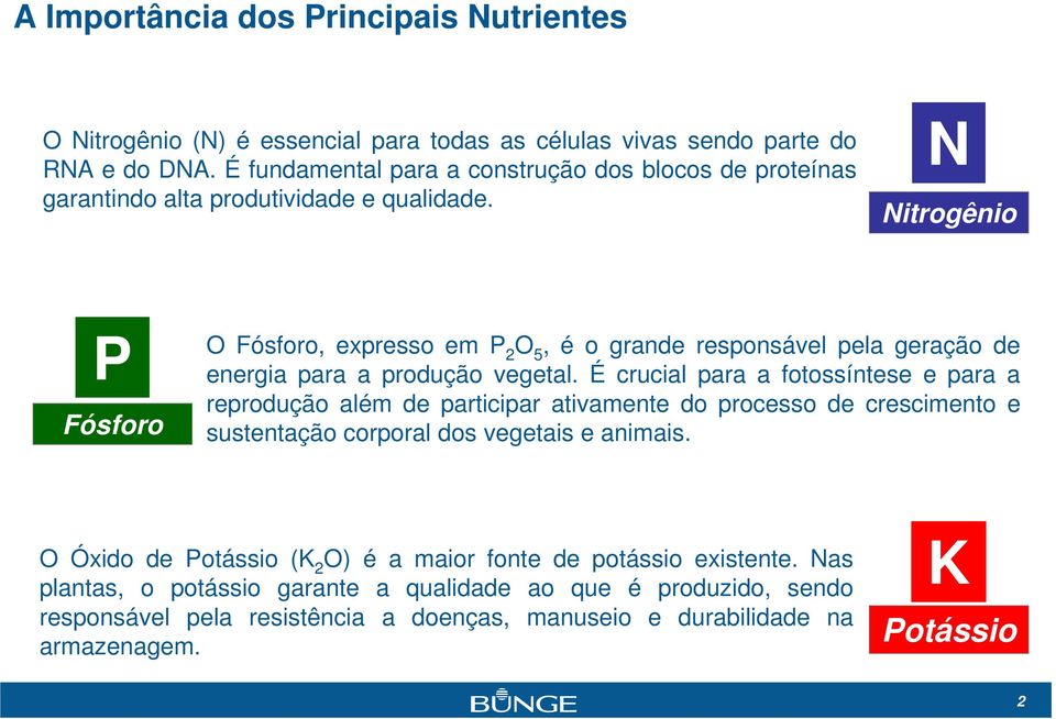 N Nitrogênio P Fósforo O Fósforo, expresso em P 2 O 5, é o grande responsável pela geração de energia para a produção vegetal.