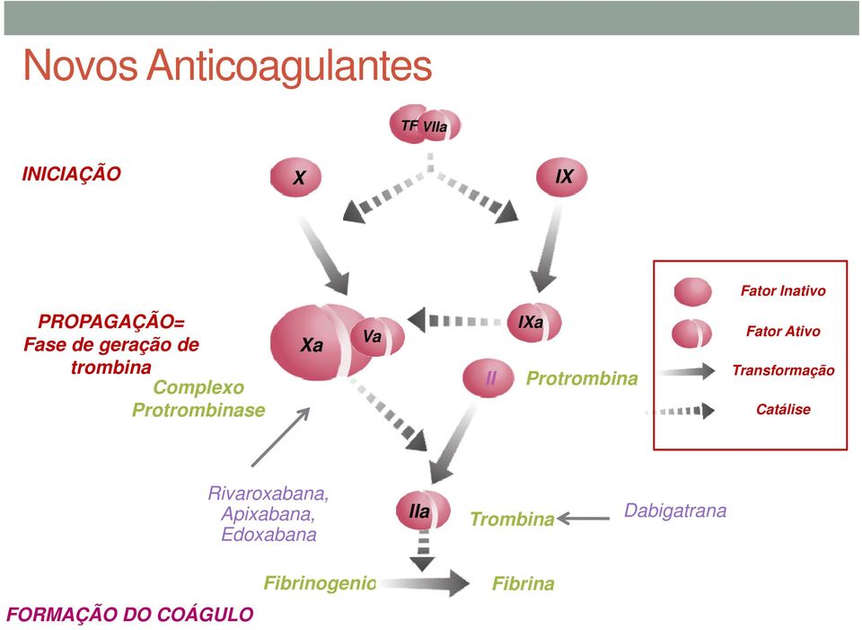 IXa Protrombina Fator Ativo Transformação Catálise Rivaroxabana,