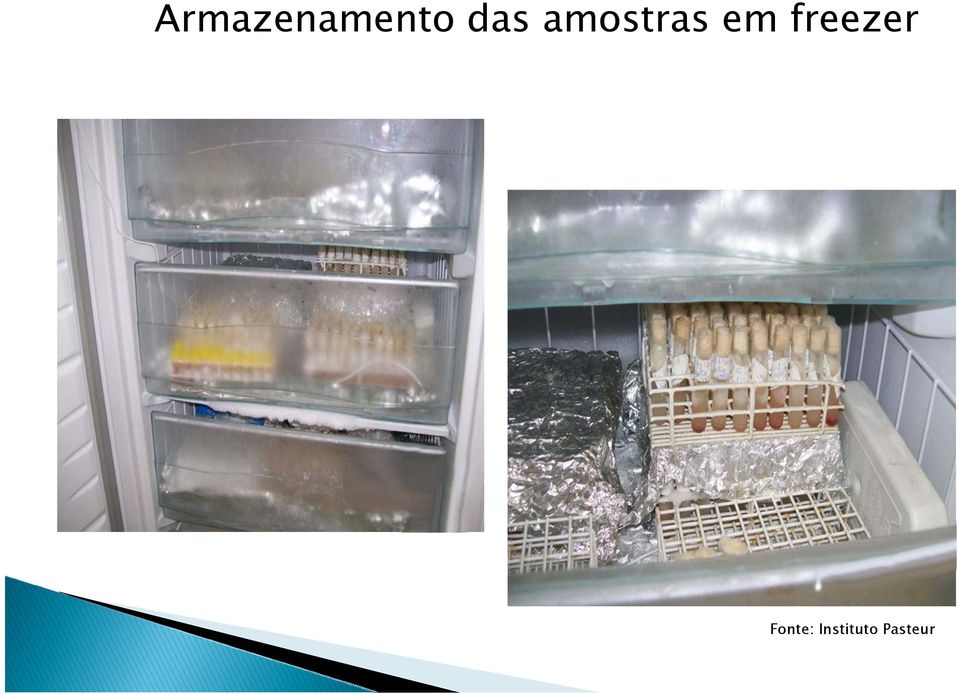 freezer Fonte: