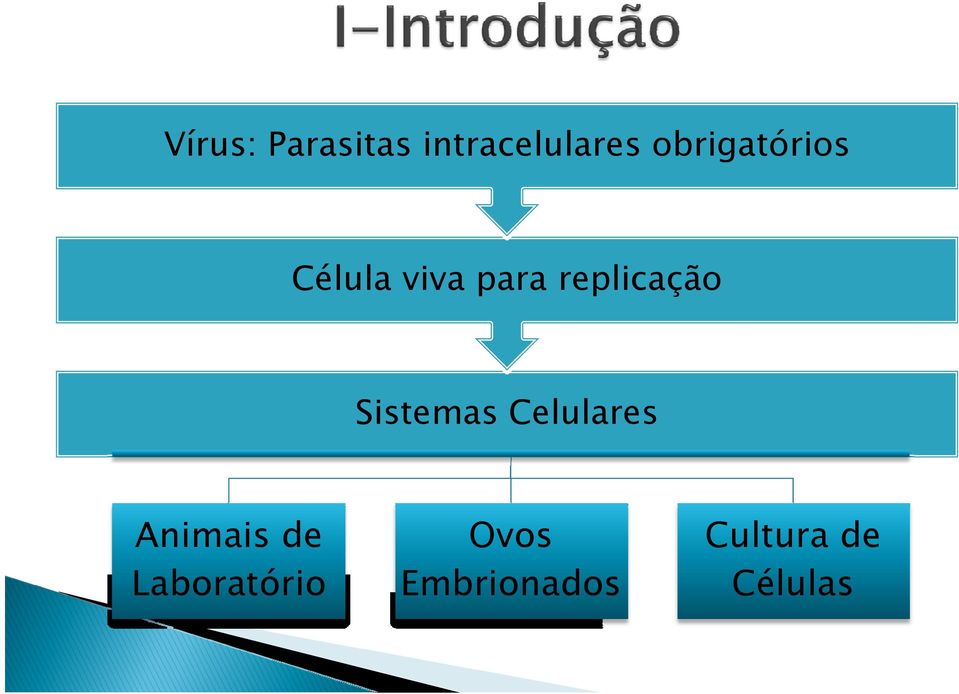 replicação Sistemas Celulares Animais