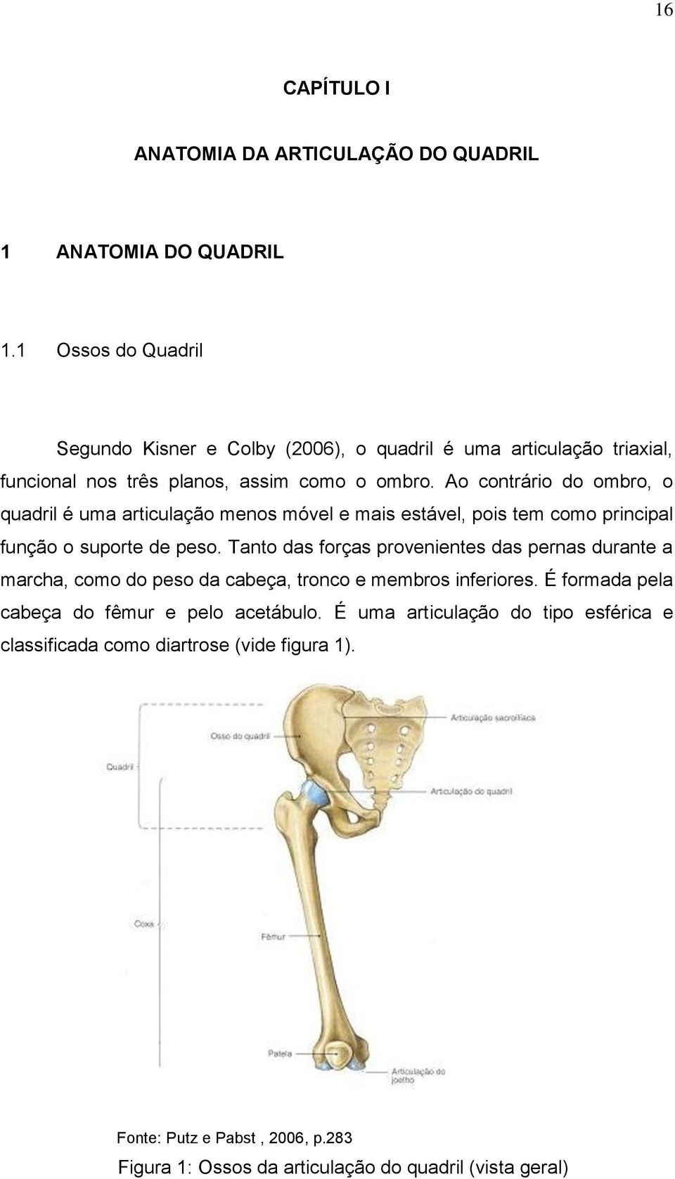 Ao contrário do ombro, o quadril é uma articulação menos móvel e mais estável, pois tem como principal função o suporte de peso.