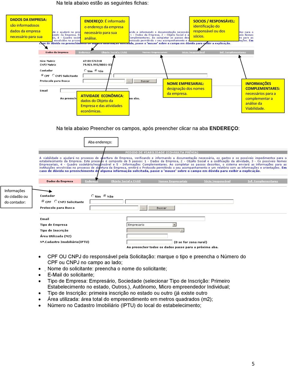 INFORMAÇÕES COMPLEMENTARES: necessários para a complementar a análise da Viabilidade.