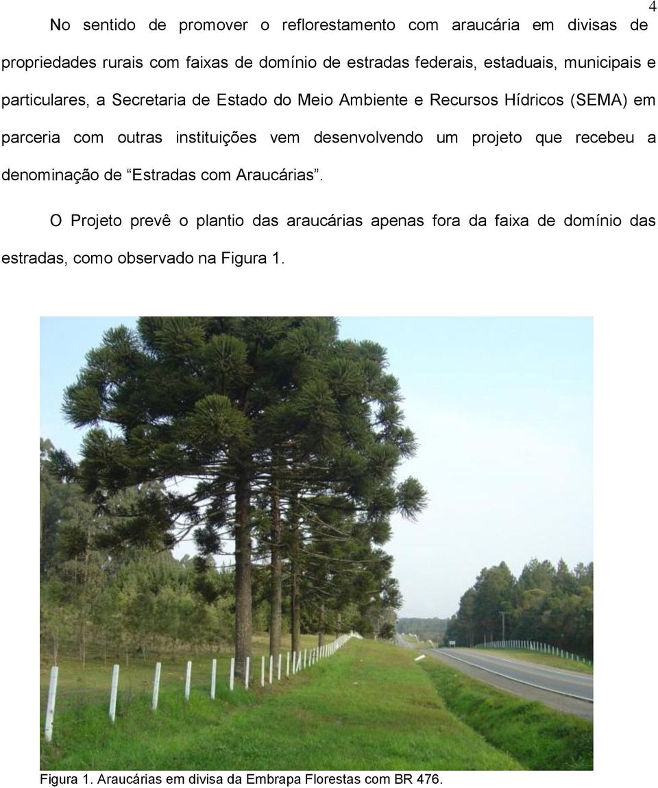 instituições vem desenvolvendo um projeto que recebeu a denominação de Estradas com Araucárias.