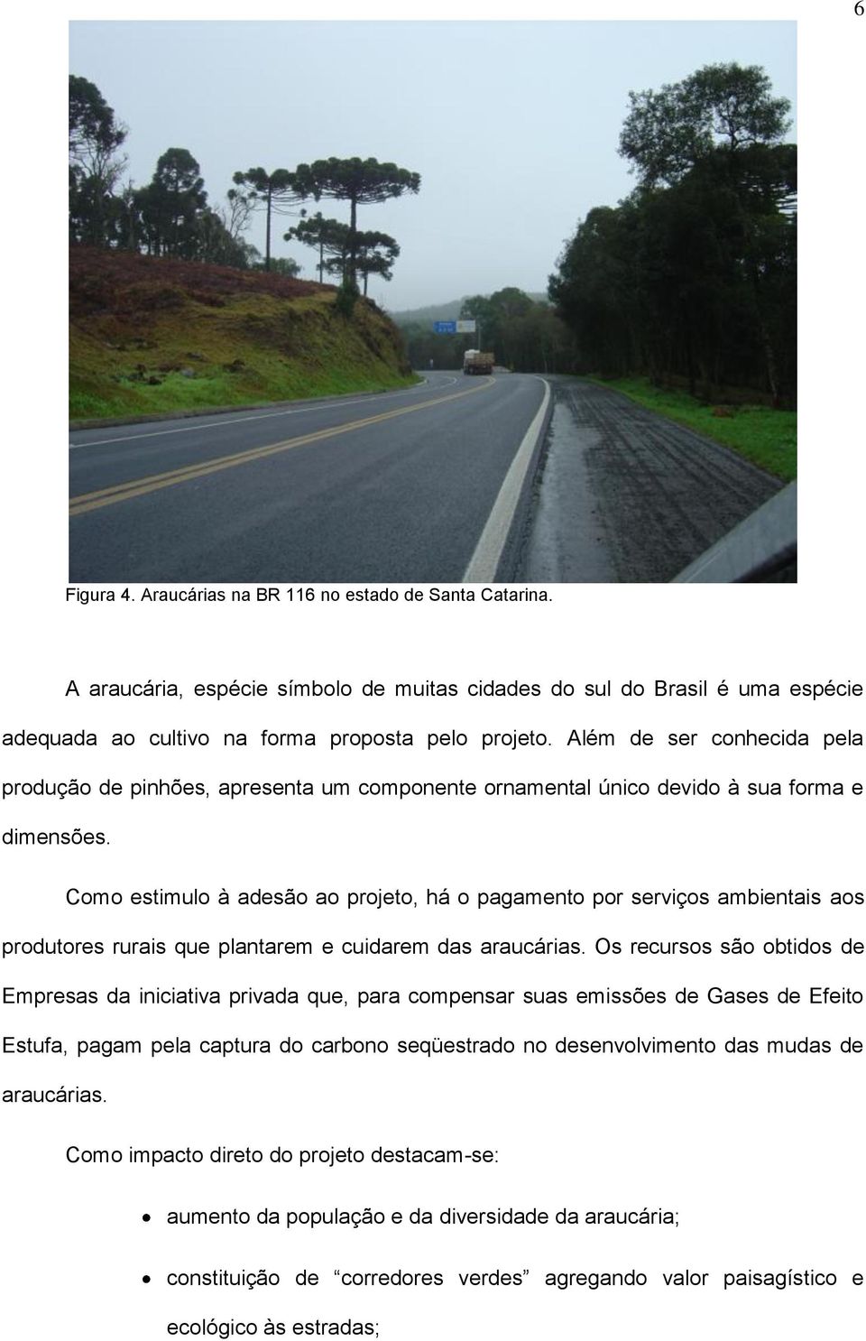 Como estimulo à adesão ao projeto, há o pagamento por serviços ambientais aos produtores rurais que plantarem e cuidarem das araucárias.