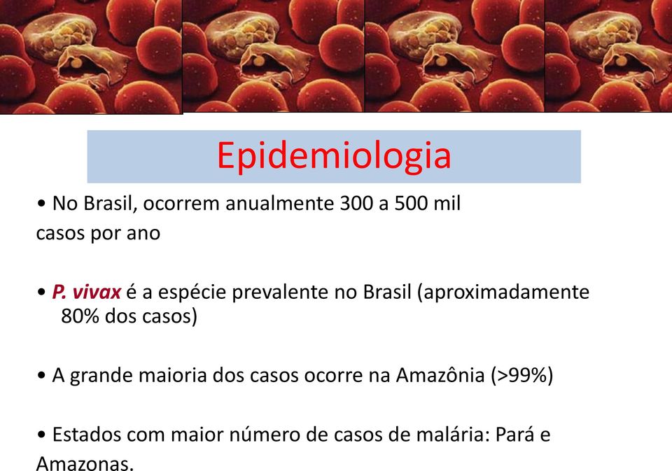 vivax é a espécie prevalente no Brasil (aproximadamente 80% dos