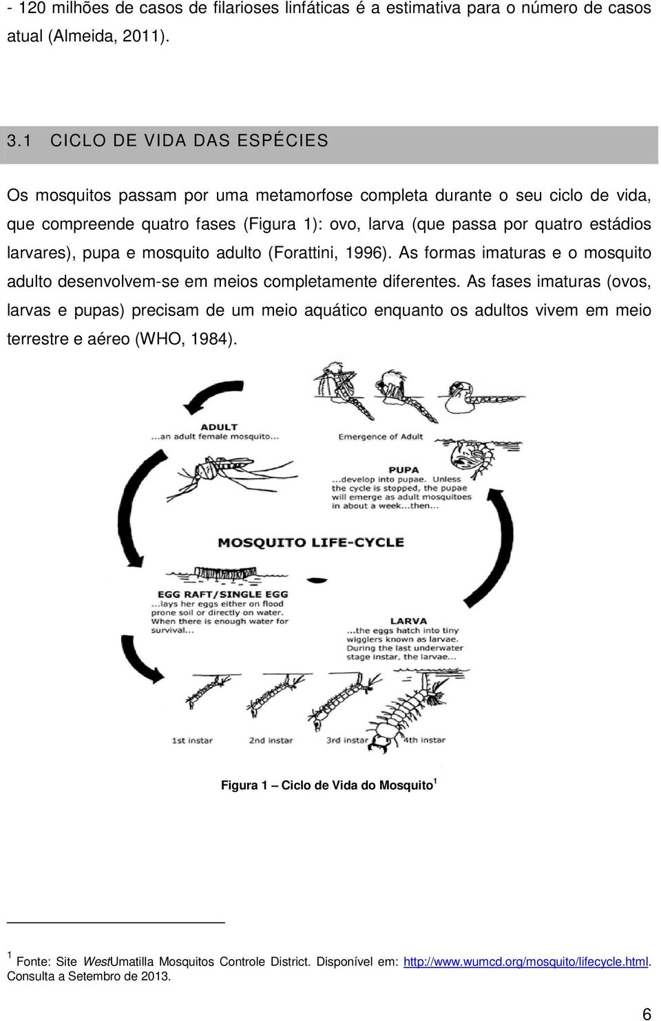 larvares), pupa e mosquito adulto (Forattini, 1996). As formas imaturas e o mosquito adulto desenvolvem-se em meios completamente diferentes.