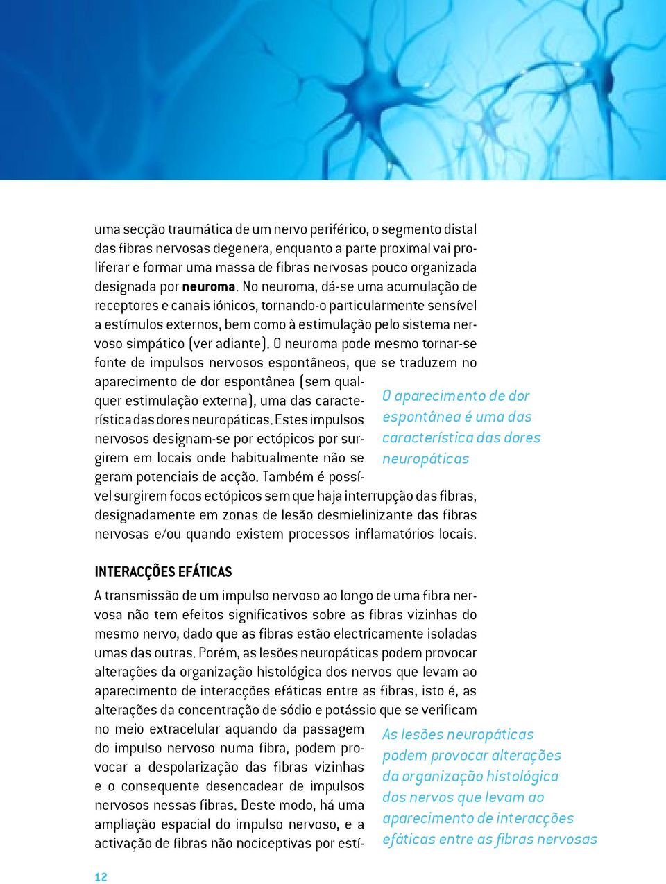 No neuroma, dá-se uma acumulação de receptores e canais iónicos, tornando-o particularmente sensível a estímulos externos, bem como à estimulação pelo sistema nervoso simpático (ver adiante).