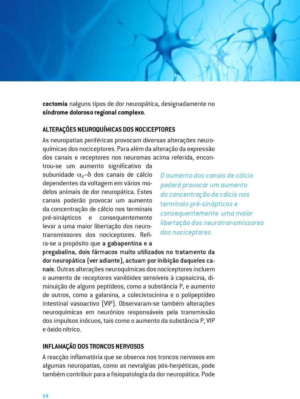 Para além da alteração da expressão dos canais e receptores nos neuromas acima referida, encontrou-se um aumento significativo da subunidade α 2 δ dos canais de cálcio dependentes da voltagem em