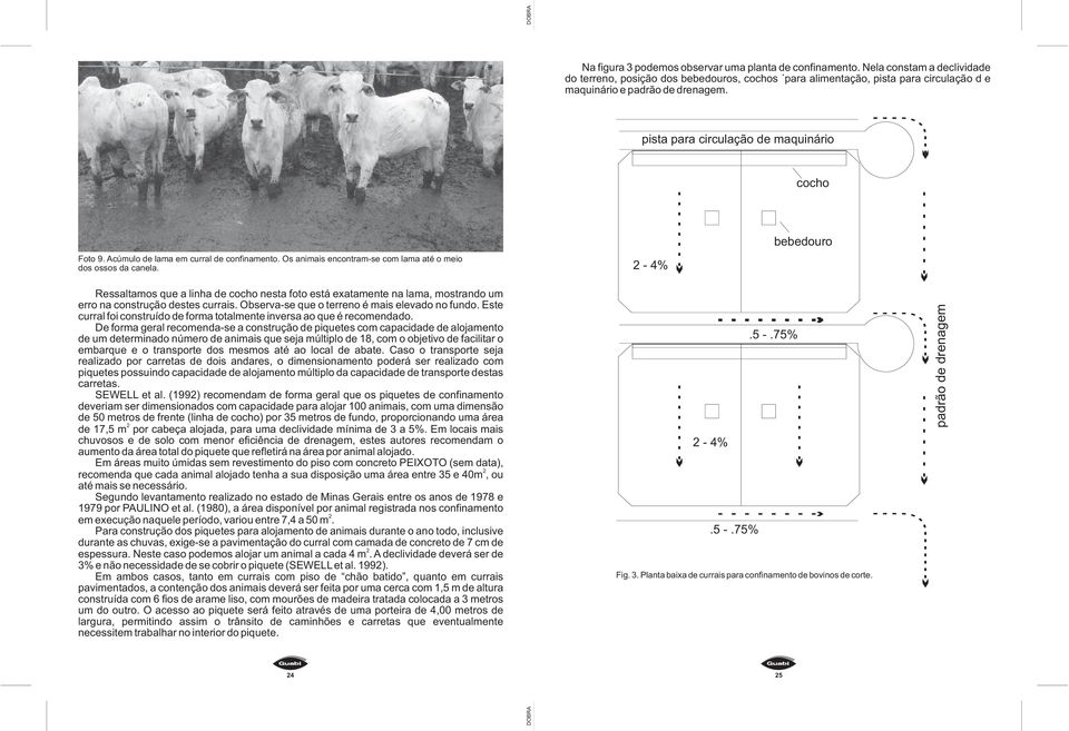 Acúmulo de lama em curral de confinamento. Os animais encontram-se com lama até o meio dos ossos da canela.