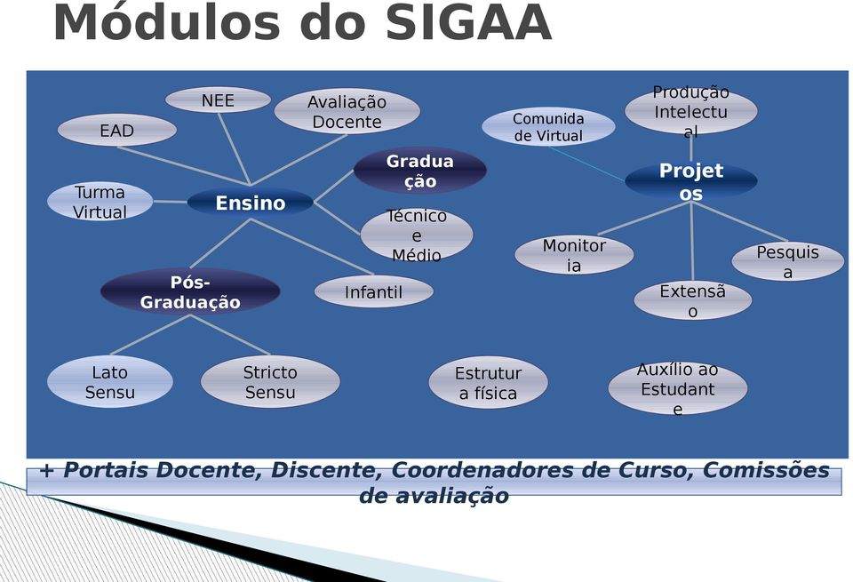 Extensã o Infantil Stricto Sensu Produção Intelectu al Estrutur a física Pesquis a