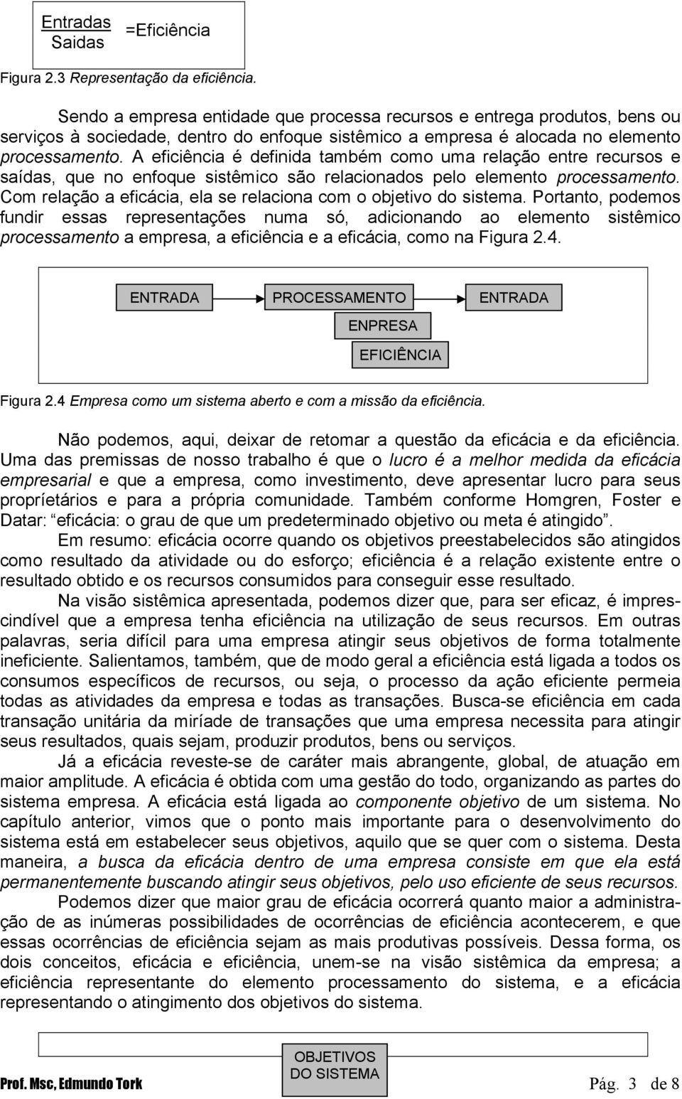 A eficiência é definida também como uma relação entre recursos e saídas, que no enfoque sistêmico são relacionados pelo elemento processamento.