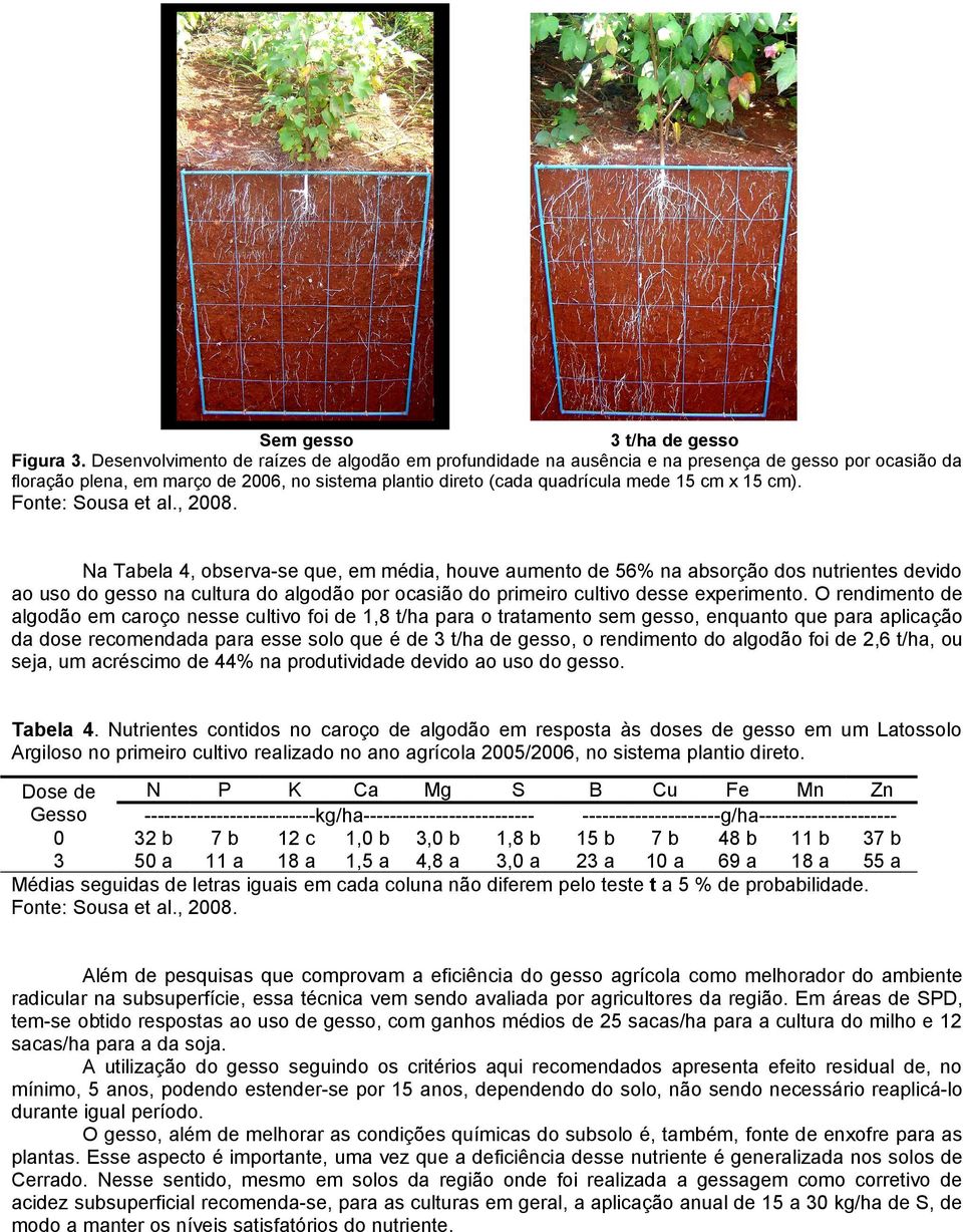 Fonte: Sousa et al., 28.