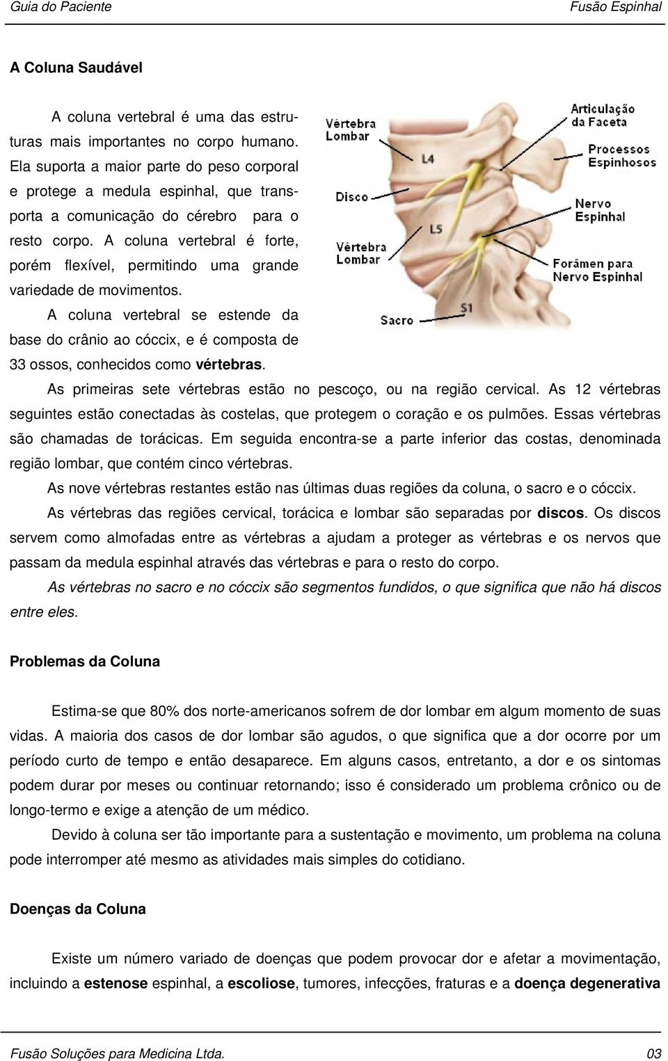 A coluna vertebral é forte, porém flexível, permitindo uma grande variedade de movimentos.