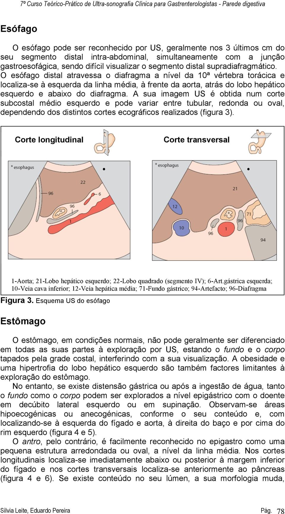 O esófago distal atravessa o diafragma a nível da 10ª vértebra torácica e localiza-se à esquerda da linha média, à frente da aorta, atrás do lobo hepático esquerdo e abaixo do diafragma.