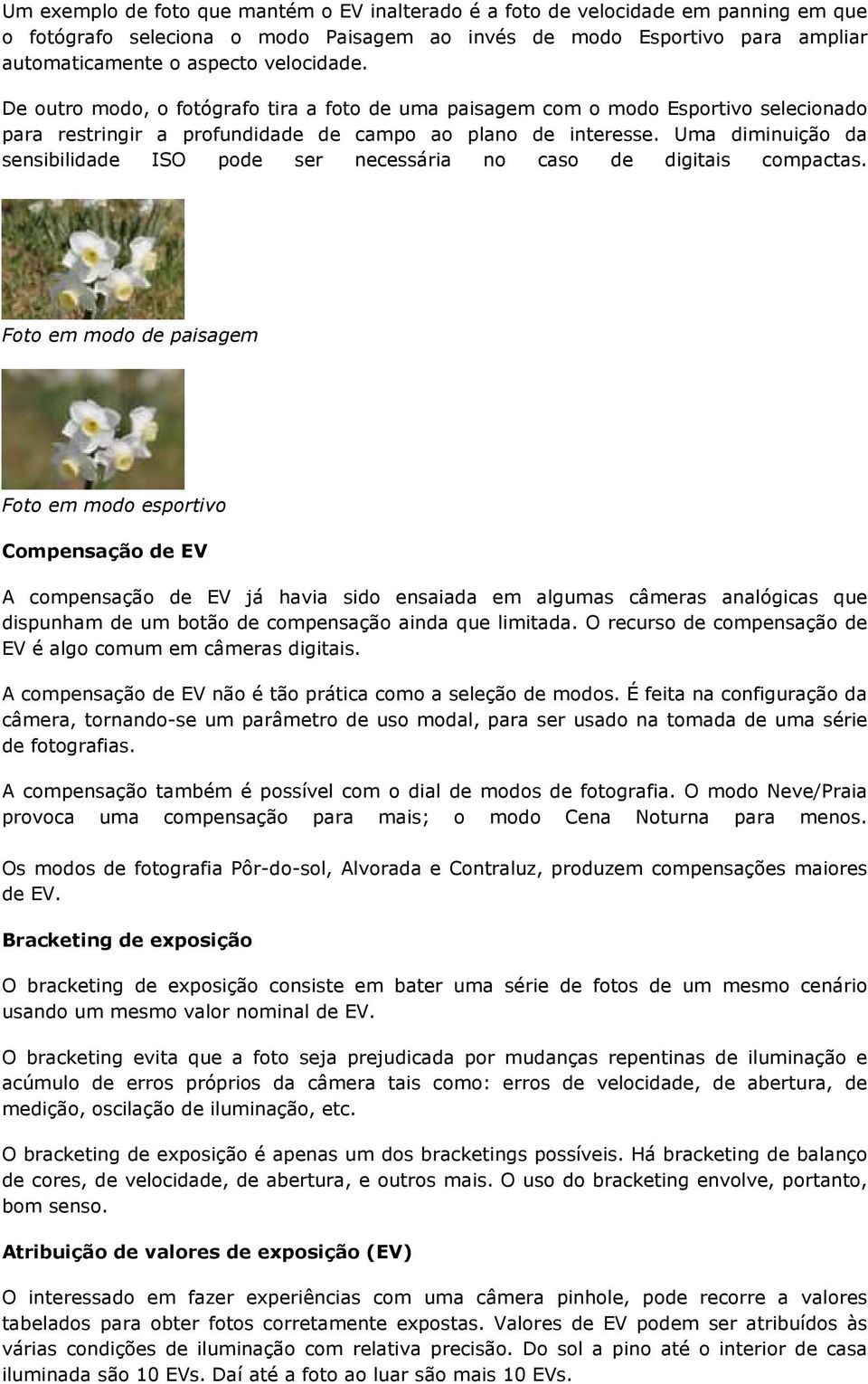 Uma diminuição da sensibilidade ISO pode ser necessária no caso de digitais compactas.